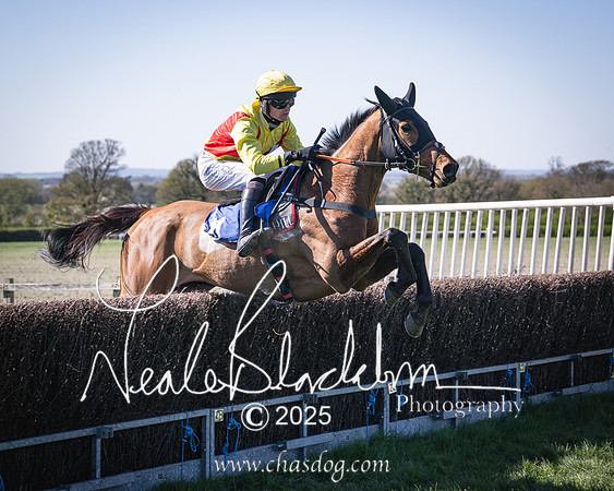 Race 5 - The restricted (68 of 113)