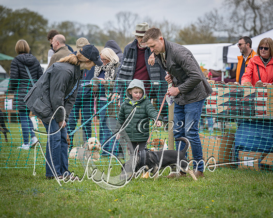 Bicester - Dog Show (68 of 106)