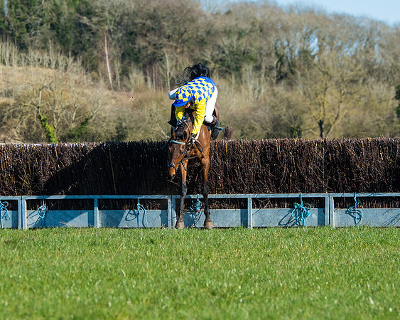 Race 5 - Novice riders (50 of 201)