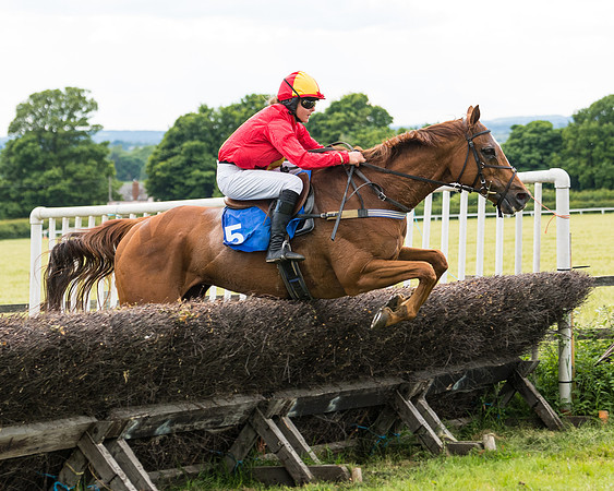 Race 5 - Restricted  (95 of 136)