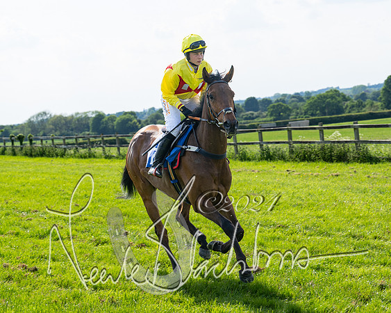 Race 5  - Maiden race 2m5F Div-1 (71 of 197)