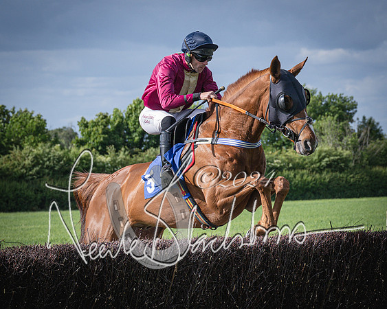 Race 6 - Thorn Plant Hire Maiden Race (44 of 129)
