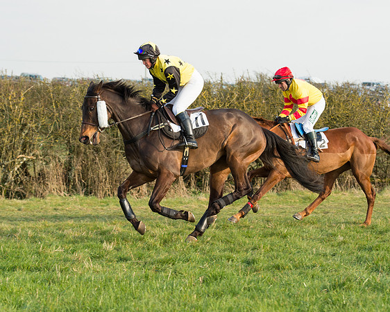 Race 6 - Open Maiden Race (36 of 99).jpg