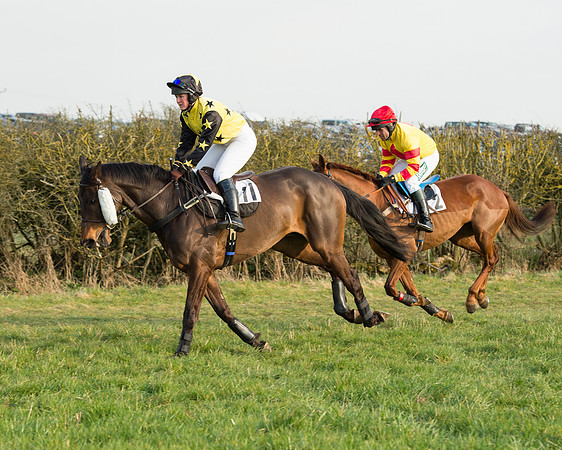 Race 6 - Open Maiden Race (34 of 99).jpg
