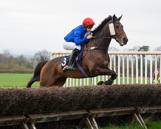 Race 5 - The Ineos Home Counties Grand National (40 of 133)