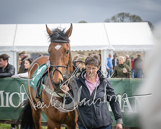 Race 3 - 5 years old and Over Maiden Race (10 of 130)