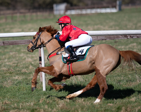 Pony Races (108 of 112)