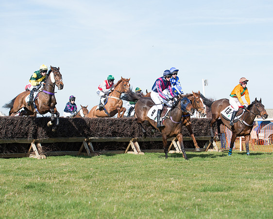 Race 2 - Open Maiden Div 2 (61 of 124).jpg