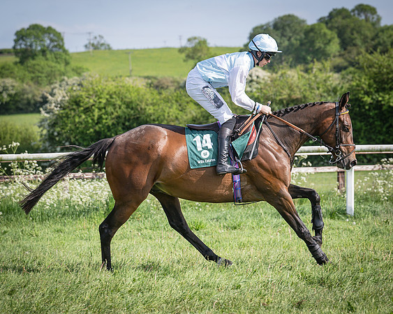 Race 5 - Restricted (26 of 116)