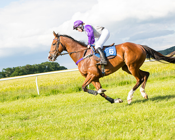 Race 6 - Open Maiden (62 of 227)