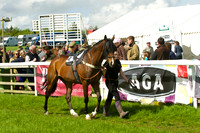 Race 3 - Aga Ladies Open 9