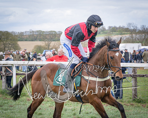 Race 3 - 5 years old and Over Maiden Race (24 of 130)