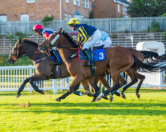 Race 5 - White Swan Hotel Handicap (34 of 80)