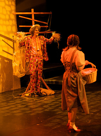 The Wizard of OZ -  102