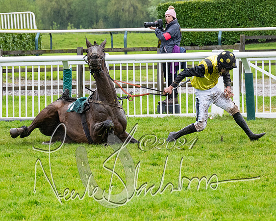 Race 5 - Mares Open  (66 of 129)