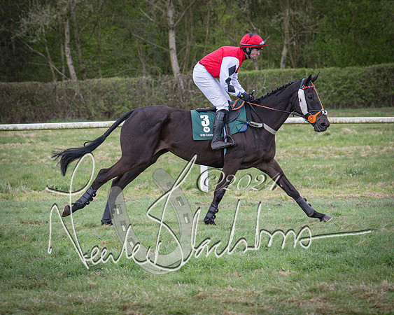 Race 7 - The Jockey Club maiden race for Mares and Fillies only (29 of 96)