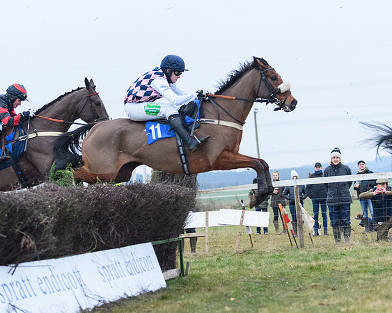 Race 8 - Oprn Maiden Div 2 (51 of 108)