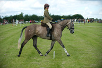 Jackson Dressage 1