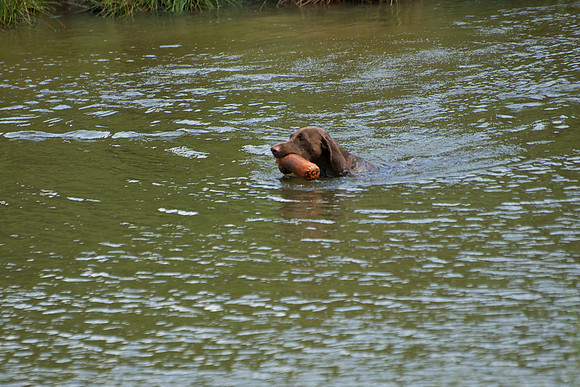 WCGB-04AUG-2013 Water Training Day 173