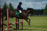 SOHS PC Summer Show at BCA 17th June 2012