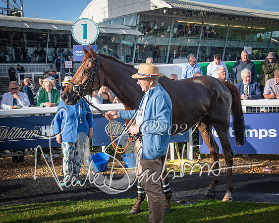 Race 3 - The pointtopoint.co.uk champion novices’ Hunter Chase (133 of 140)