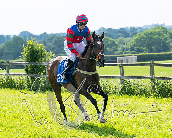 Race 5  - Maiden race 2m5F Div-2 (53 of 205)