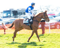 Race 2 - Open Maiden Div 2 (8 of 124).jpg