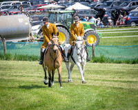 Race 2 The Highwayman Inn Restricted Race (8 of 144)