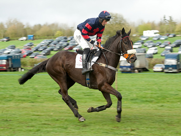 Race 5 - Restricted  21
