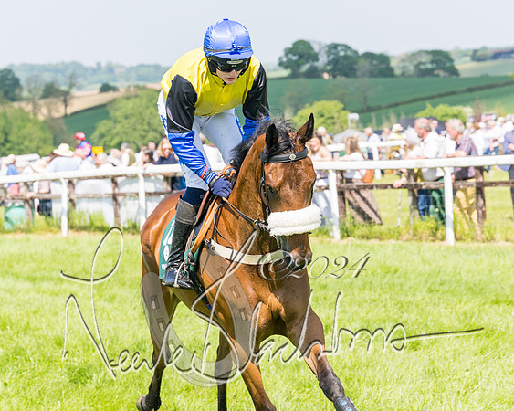 Race 2 - The Maiden  (70 of 442)