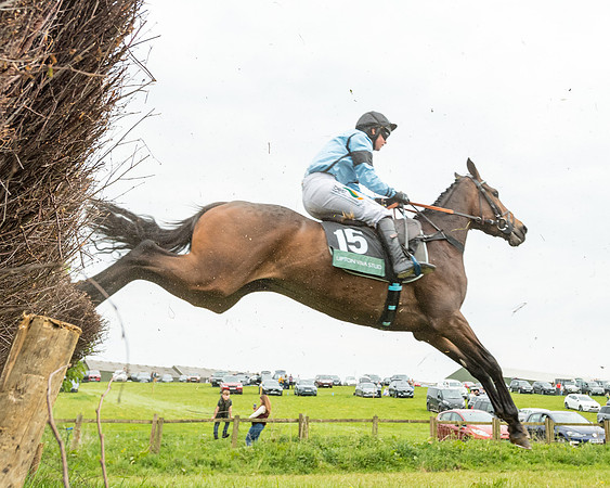 Race 7 - Open Maiden  (52 of 106)