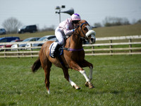 Pony Race 3