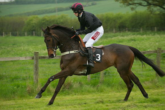 Race 2 - Novices 25