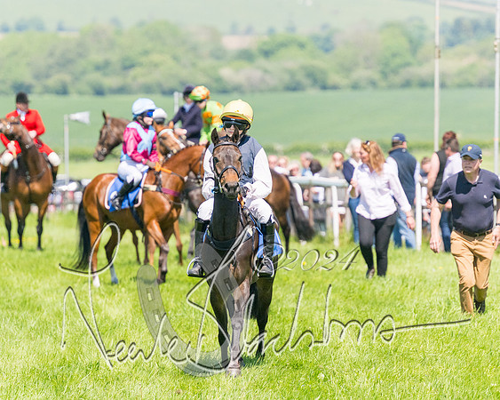 Pony Races  (14 of 141)