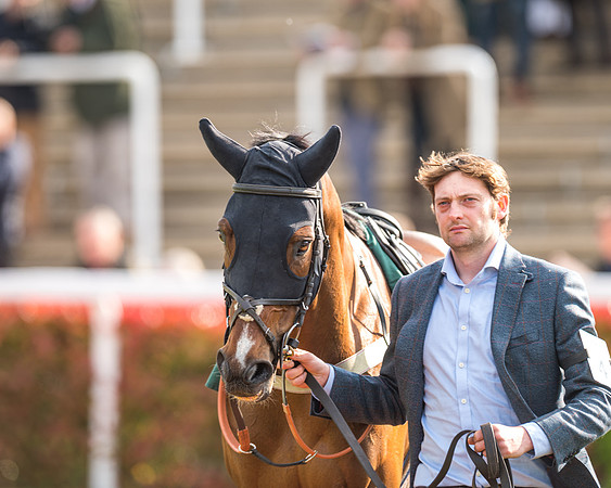 Race 2  -  Intermediate Point to Point Hunters' Steeple Chase (18 of 277)