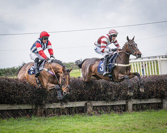 Race 6 - 2M4F Maiden (38 of 85)