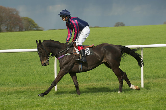 Novice Riders 22