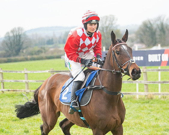 Race 6 - The Restricted Race (56 of 200)