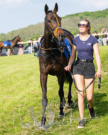 Race 5  - Maiden race 2m5F Div-2 (44 of 205)