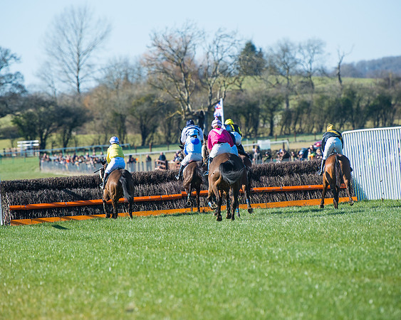 Race 4 - Ladies Open  (42 of 200)