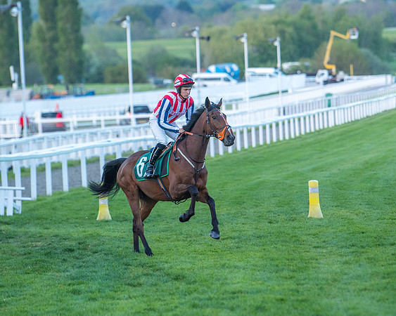 Race 7 - Glos Hussars  (105 of 245)