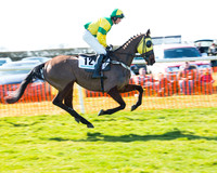 Race 1 - Open Maiden Div 1 (14 of 88).jpg