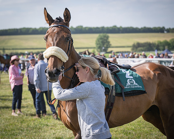 Race 5 - Restricted (22 of 116)