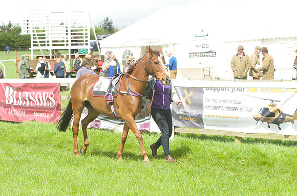 Pony Race - 3    10