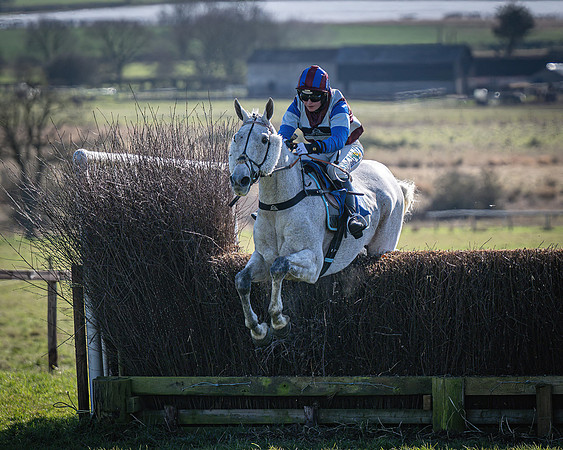 Race 1 - Veteran Horse (46 of 62)