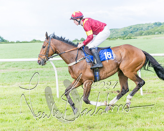 Race 5 - Restricted Race (169 of 434)