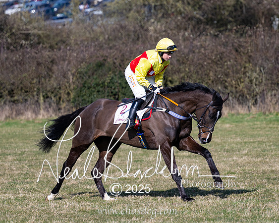 Race 1 - Maiden (49 of 188)