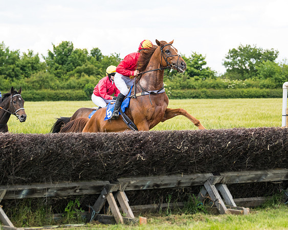 Race 5 - Restricted  (40 of 136)