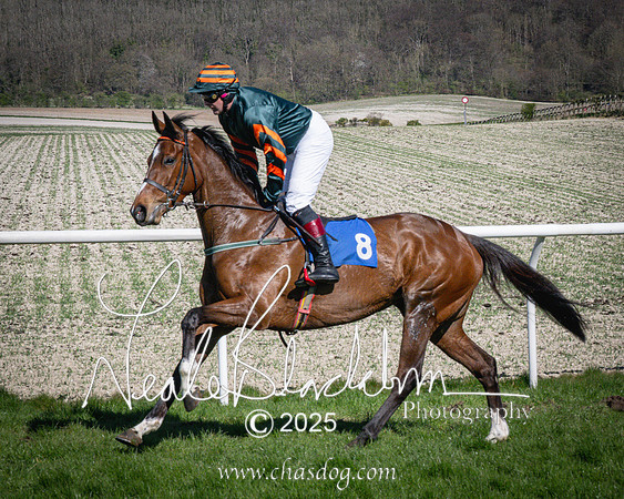 Race 5 - The restricted (40 of 113)