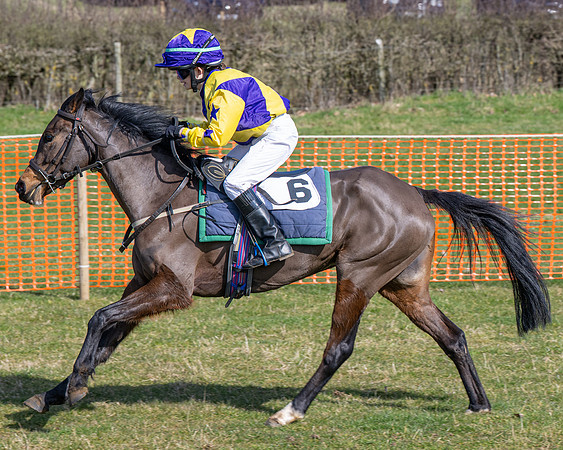 Pony Race 2 - 138cm (59 of 65)